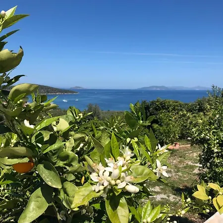 Epidavros Land Artemis *