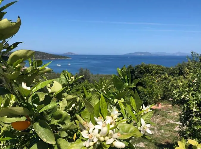 Epidavros Land Artemis *